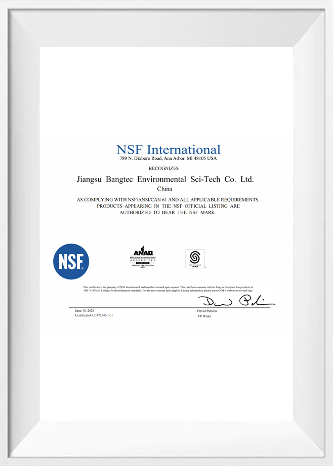 NSF Internacional